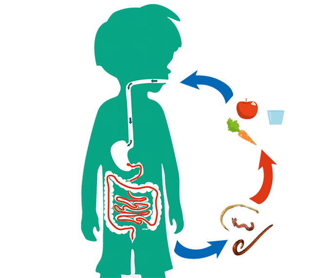Routes of human infection by parasites